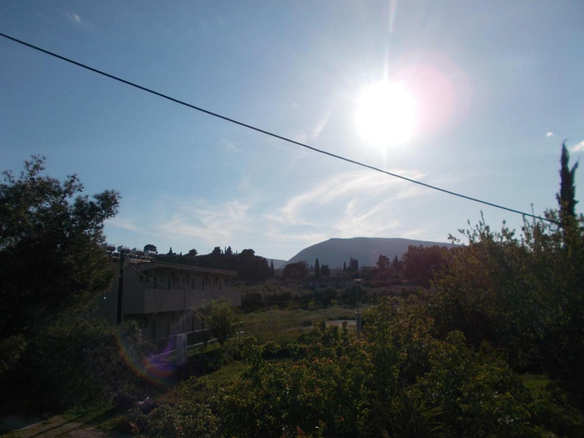 Summer Holidays In Laganas Apartments 外观 照片